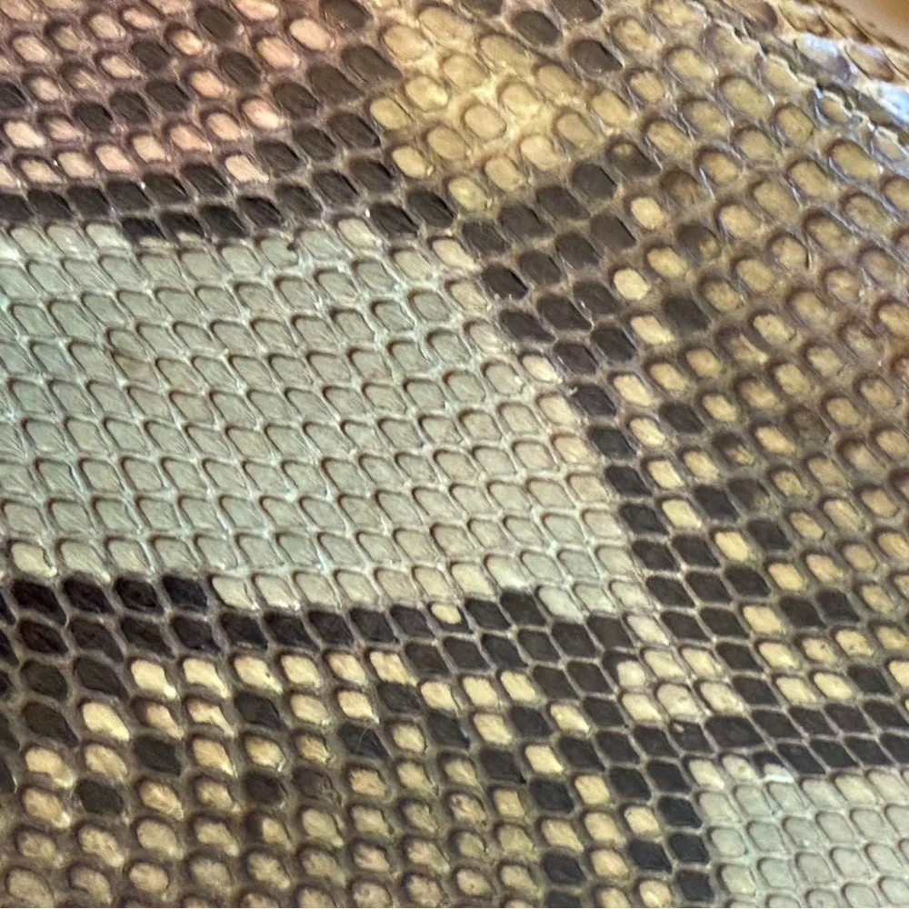NWT RARE Perrin Snakeskin clutch